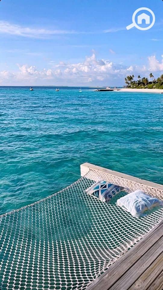 12 489335301_652820407450639_3730805532170932453_n. jpg