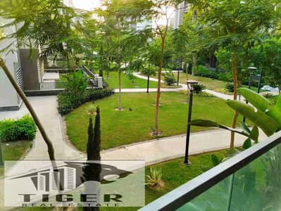 3 Bedroom Flat for Rent in Madinaty, Cairo - 1000384010. jpg