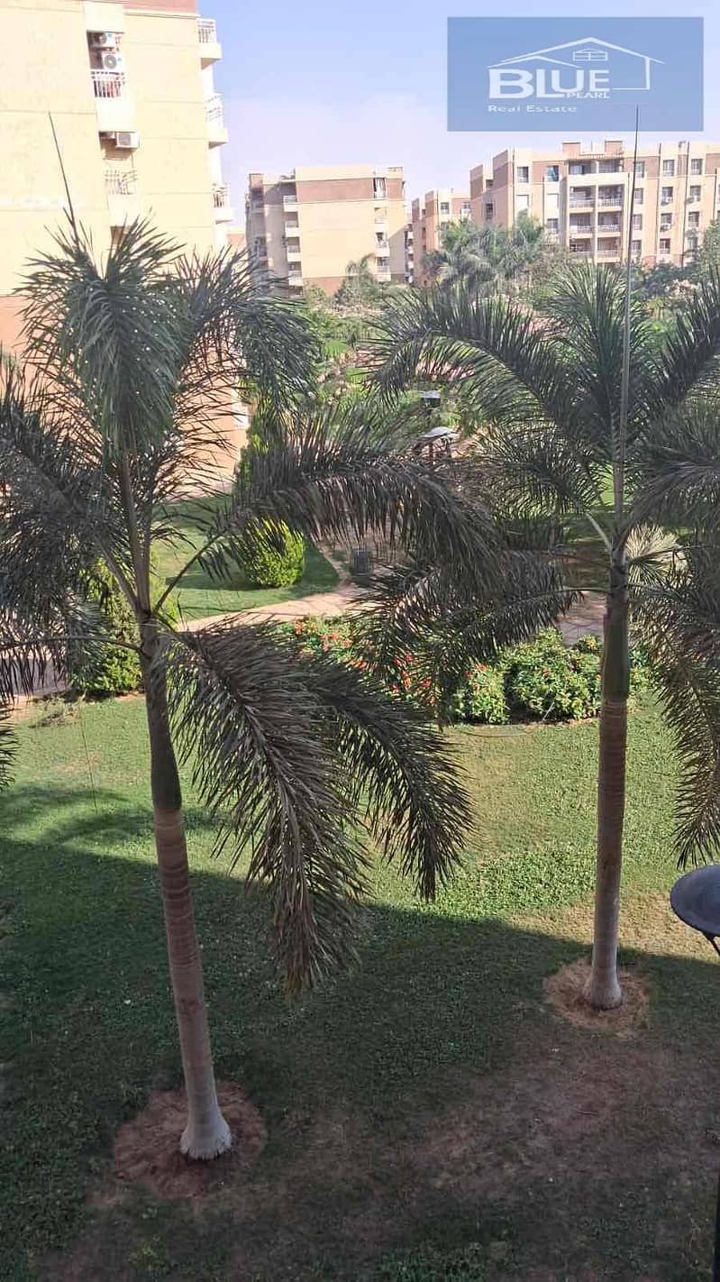 IMG_9498. jpg IMG_9498. jpg