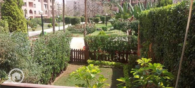 فلیٹ 4 غرف نوم للبيع في القاهرة الجديدة، القاهرة - c362b64d-aaf7-42a2-b79b-e5213d0c3df0. jpg