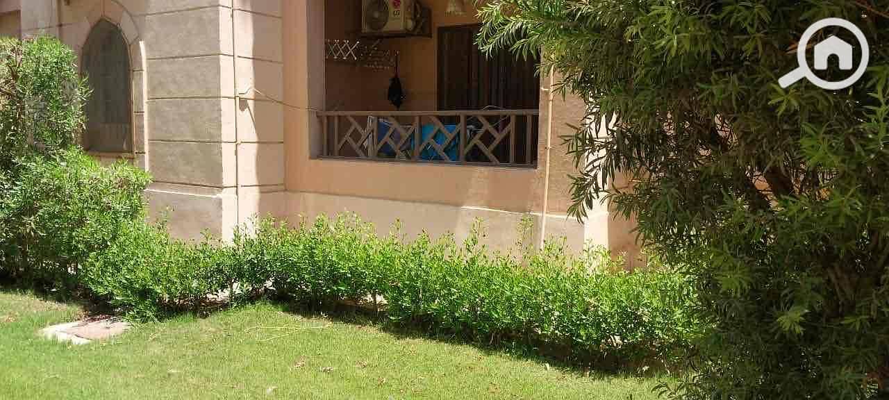 4 978ce408-674d-4471-aa5a-e16526ed4e43. jpg