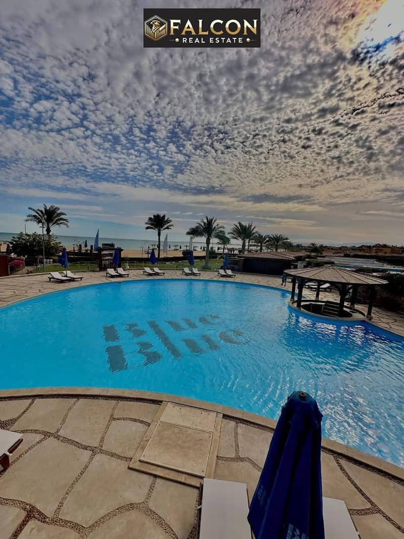 4 548474776_4460526467508040_3286895596456230472_n. jpg