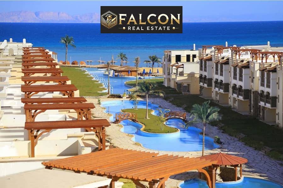 4 258316999_182985357369745_332247461626092979_n (1). jpg