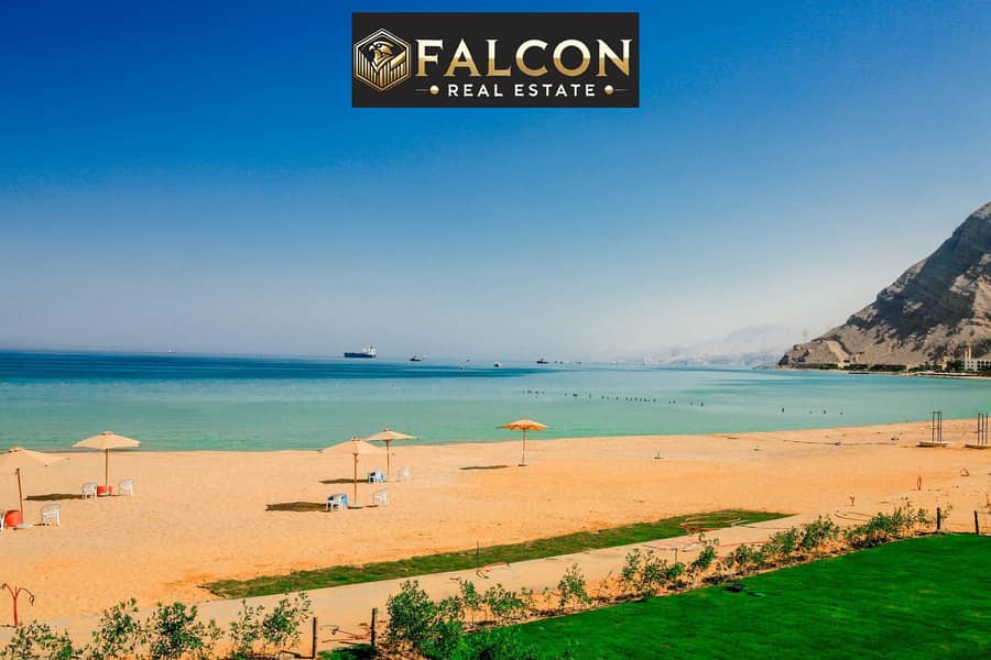 6 346888166_599063135516175_7283167010239900164_n. jpg