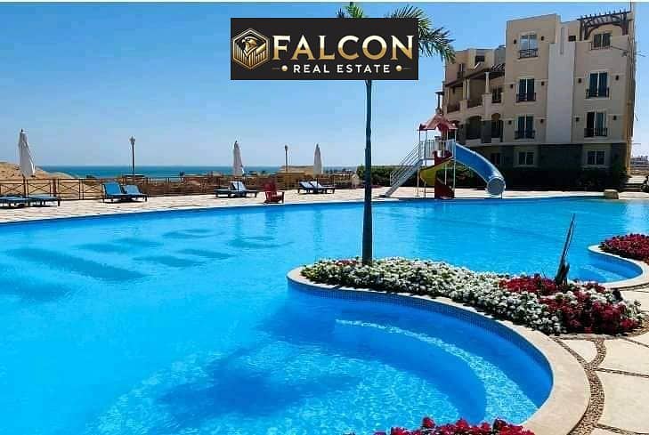 7 346962818_1457918978354078_6027421901660813907_n. jpg