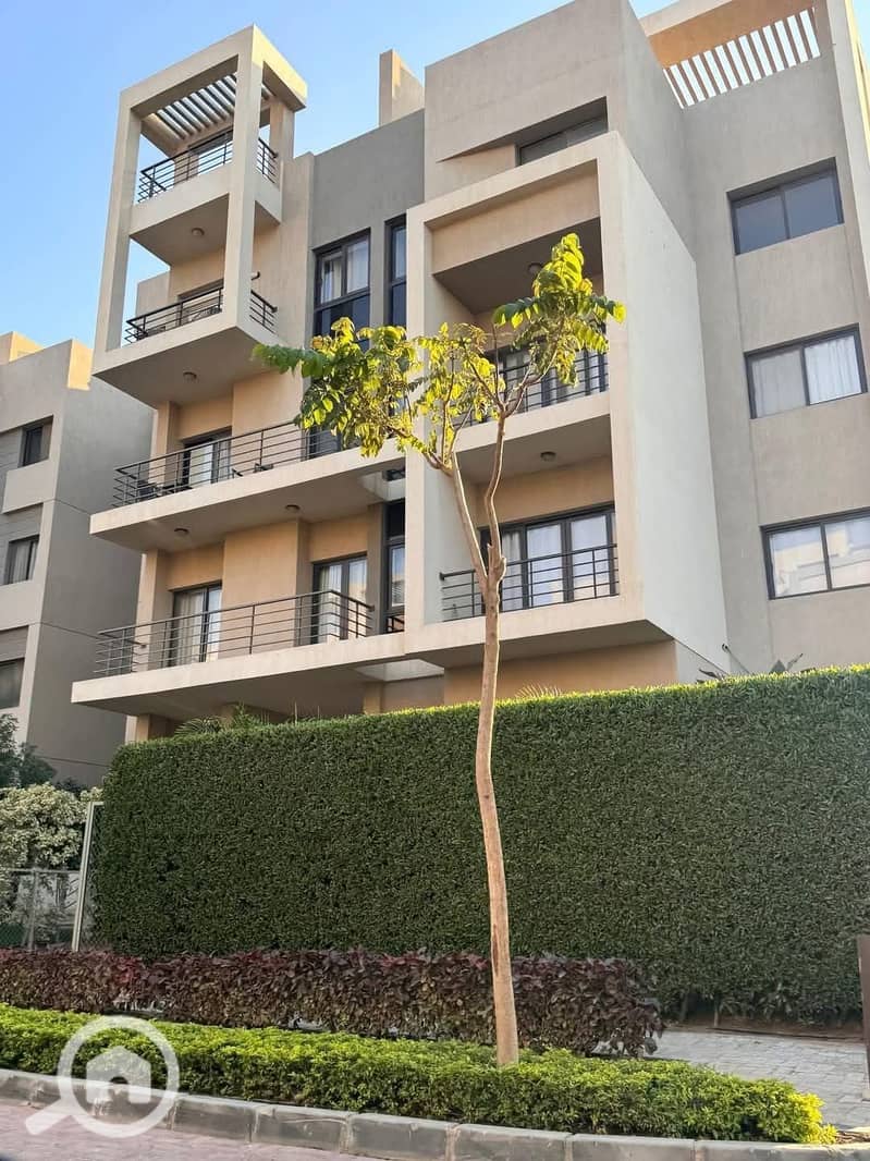 10 WhatsApp Image 2025-01-03 at 22.57. 59_c545eb77. jpg