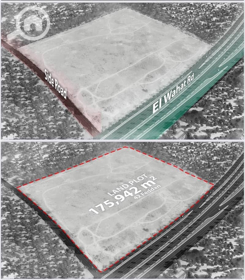 3 photo_4_2025-10-27_13-00-52. jpg