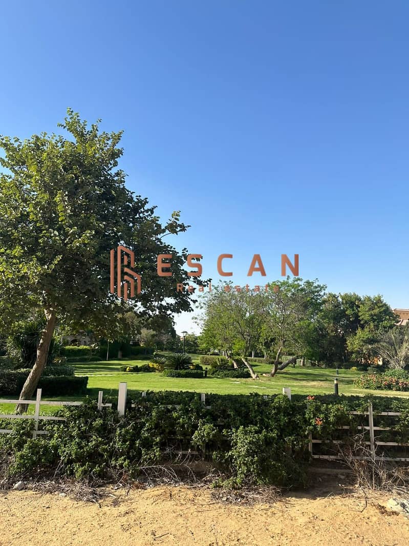 9 U724257 (12). jpeg