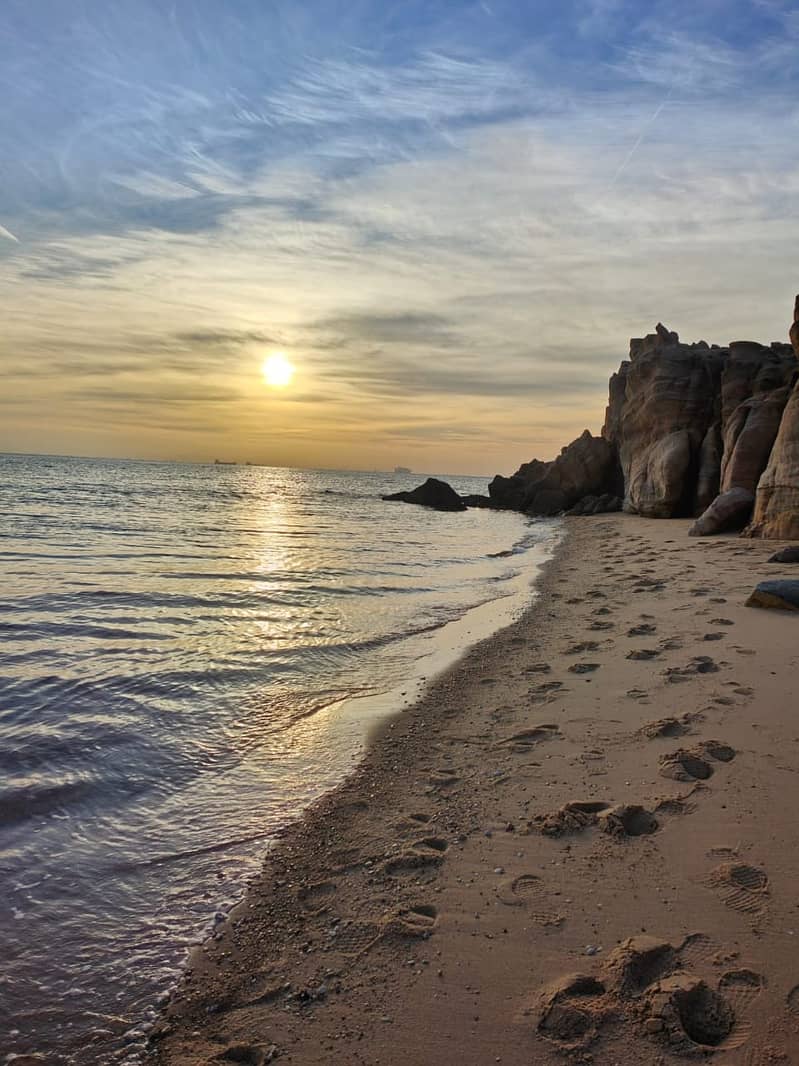 فيلا كالقصر للايجار في المعادي