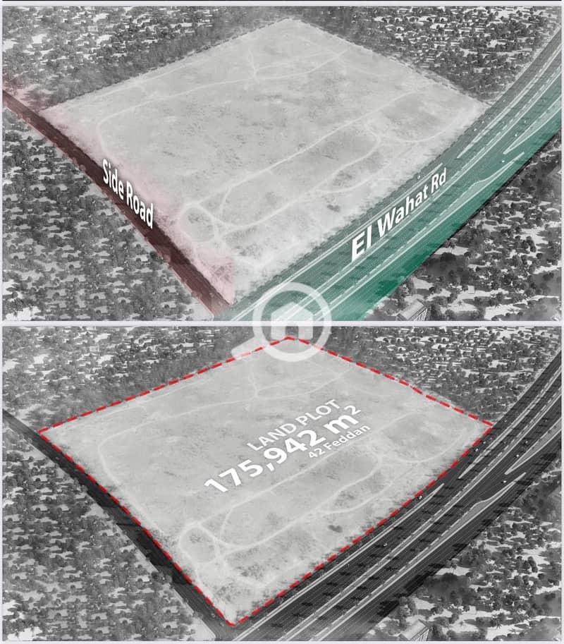 8 photo_4_2025-10-27_13-00-52. jpg