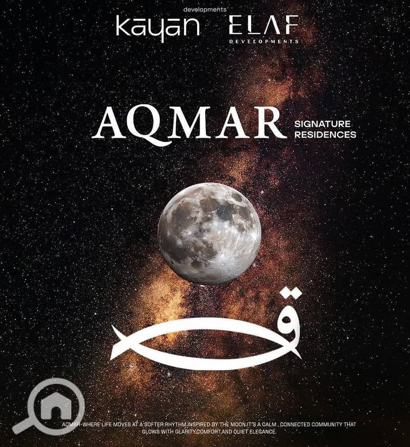 11 photo_4_2025-10-17_00-46-56. jpg