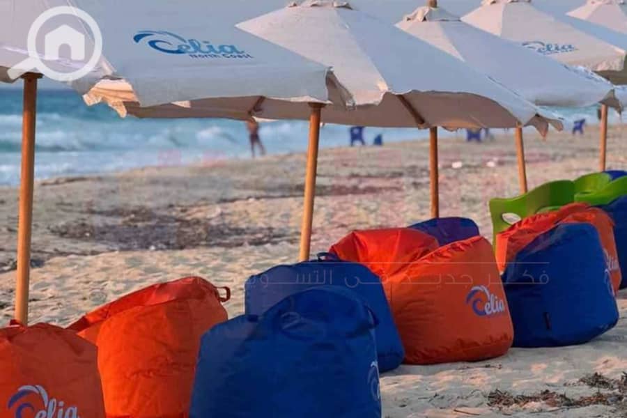 WhatsApp Image 2025-08-29 at 2.50. 40 AM. jpg