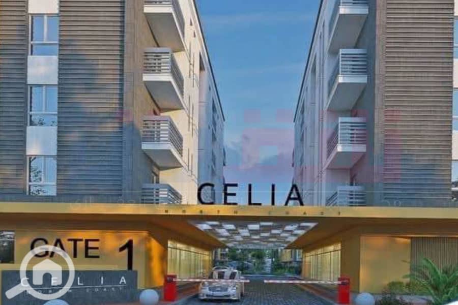 12 WhatsApp Image 2025-08-29 at 2.50. 52 AM (2). jpg