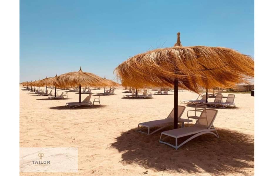 4 97e7593a-d754-4755-a975-3e807556c042. jpg