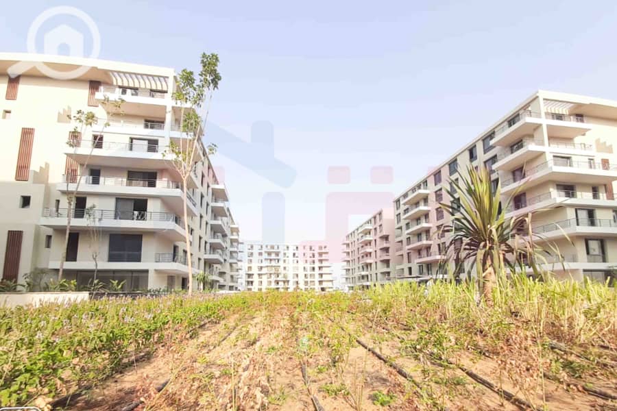 6 IMG-20251023-WA0021. jpg