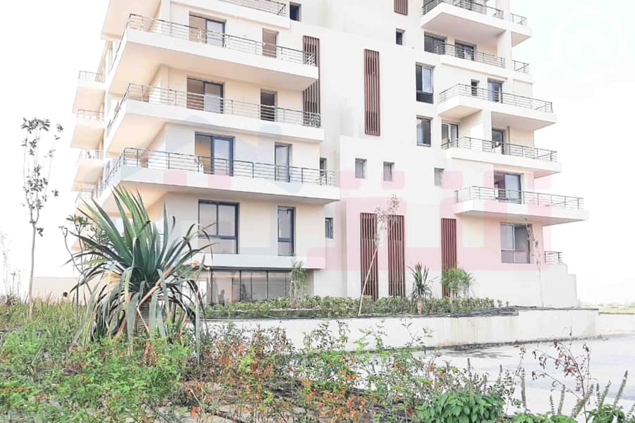 8 IMG-20251023-WA0023. jpg