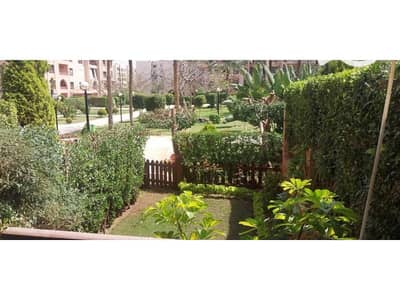 3 Bedroom Flat for Sale in New Cairo, Cairo - WhatsApp Image 2025-10-26 at 10.19. 25_88b8efca. jpg 3 Bedroom Flat for Sale in New Cairo, Cairo - WhatsApp Image 2025-10-26 at 10.19. 25_88b8efca. jpg