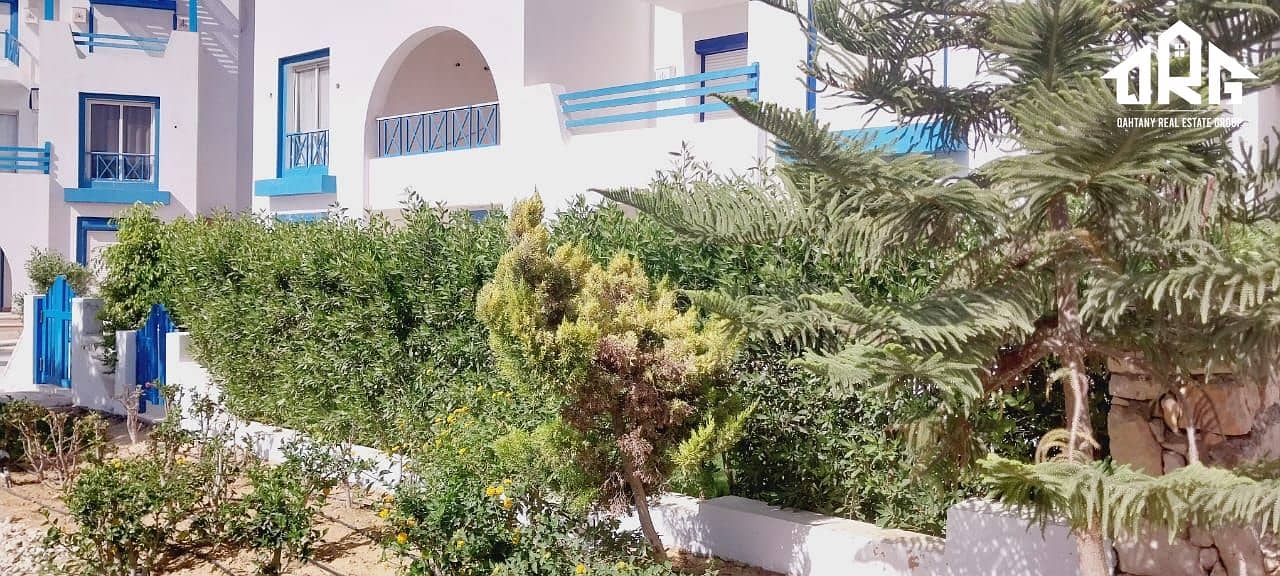 4 93bb2588-5507-4ba2-a3c9-7b669478d2b3. jpeg