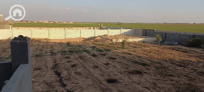 أرض سكنية  للبيع في 6 أكتوبر، الجيزة - WhatsApp Image 2025-10-28 at 17.05. 01_2fe06428. jpg أرض سكنية  للبيع في 6 أكتوبر، الجيزة - WhatsApp Image 2025-10-28 at 17.05. 01_2fe06428. jpg