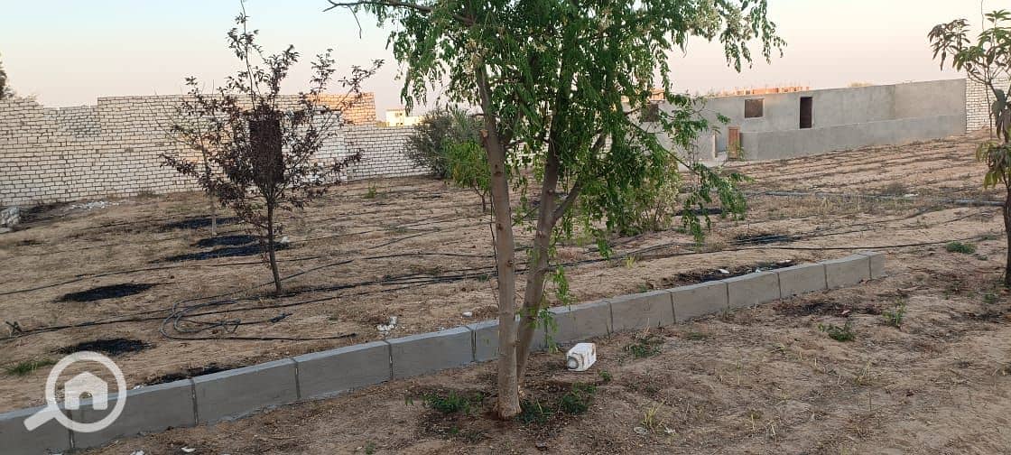 4 WhatsApp Image 2025-10-28 at 17.05. 01_3b2ff939. jpg