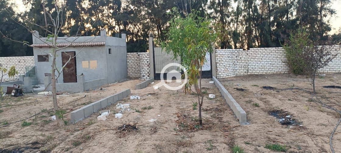 5 WhatsApp Image 2025-10-28 at 17.05. 01_28997c60. jpg