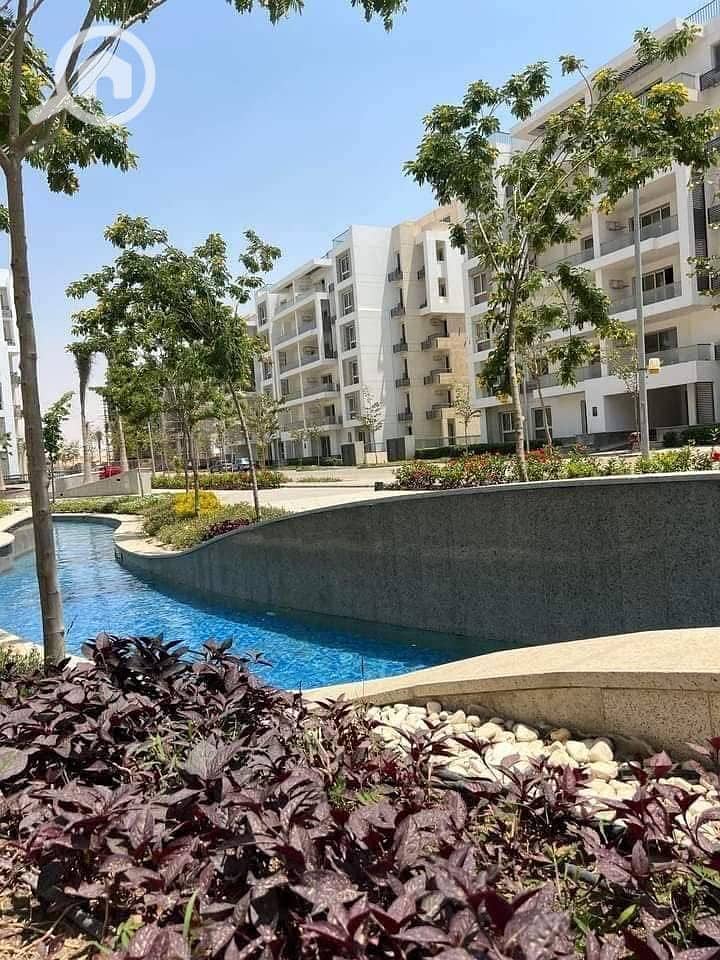 6 WhatsApp Image 2025-09-23 at 17.51. 57_2182fb9c. jpg