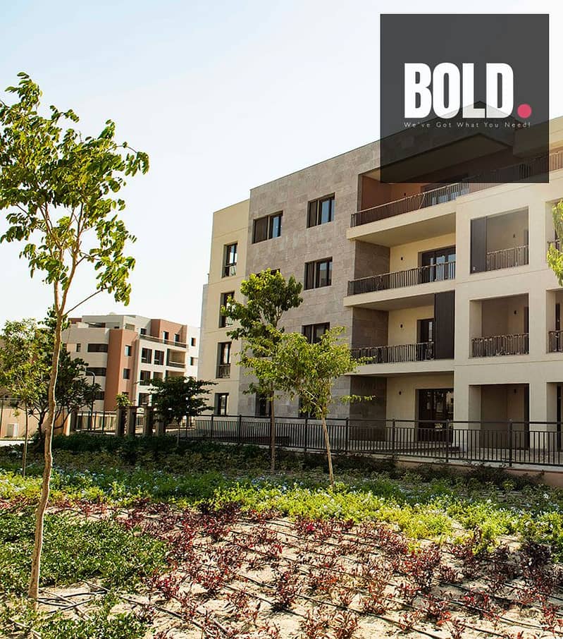 2 11b904b7-e621-495e-b7d9-3a0bfac8ab42. jpg