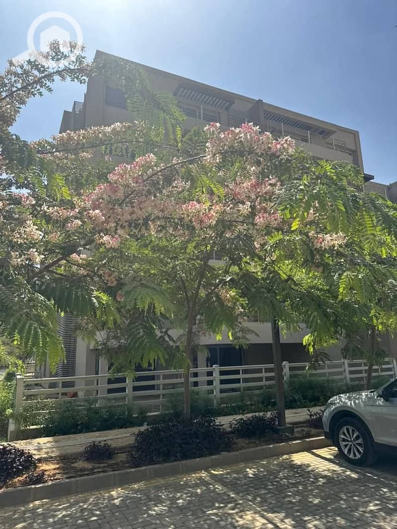 3 capital gardens3. jpg