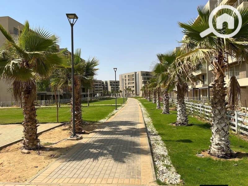 9 capital gardens9. jpg