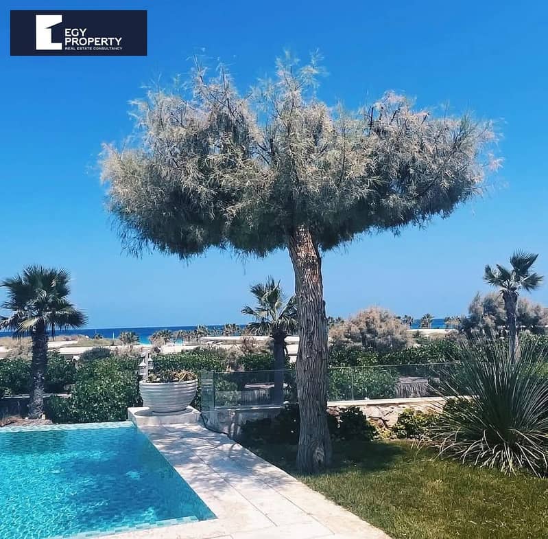 10 494730310_122167981706369460_8709310169641477032_n. jpg