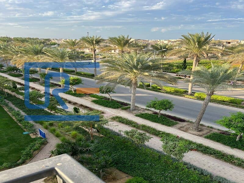 IMG-20241222-WA0088. jpg