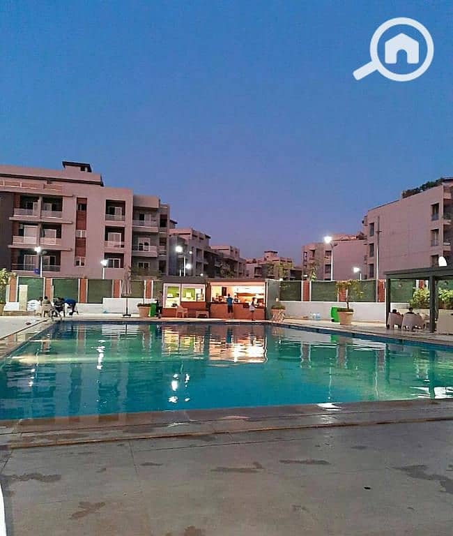 زايد ديونز. jpg زايد ديونز. jpg