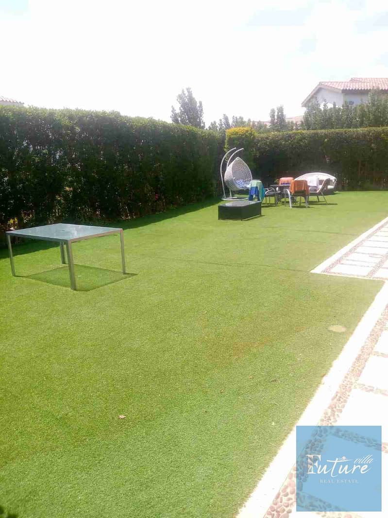 1000005705. jpg 1000005705. jpg