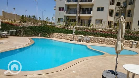 شقة 3 غرف نوم للايجار في الشيخ زايد، الجيزة - DSC_0057_resized_20170424_012946577. JPG