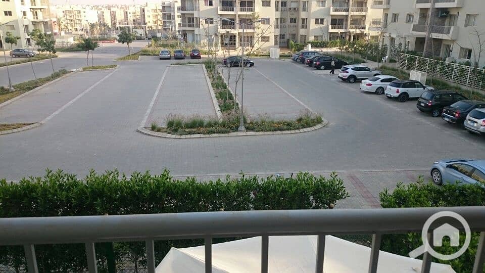 2 DSC_0027_resized_20170424_012949601. JPG