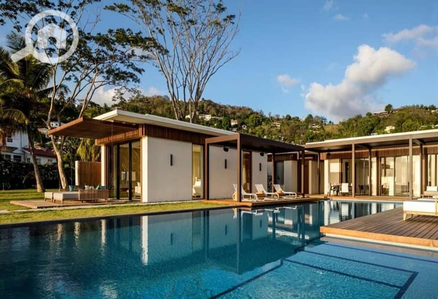 5 4917639-9e941o. jpg