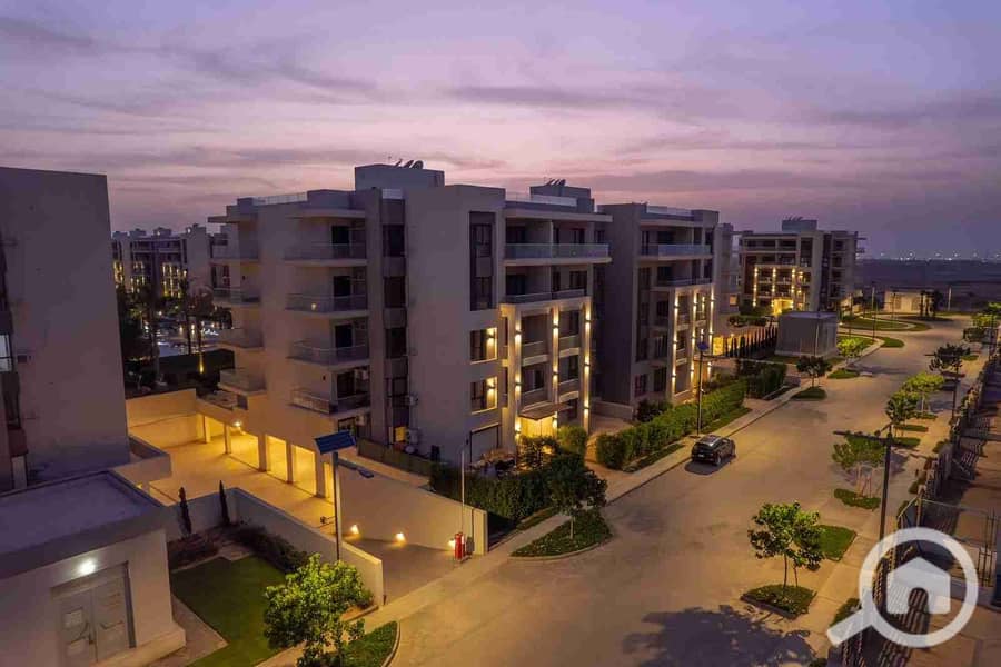 1000453181. jpg 1000453181. jpg