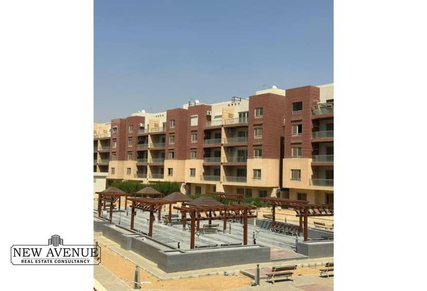 6f2e0782-0d33-4a02-aed7-ff62d9c1f643. jpg