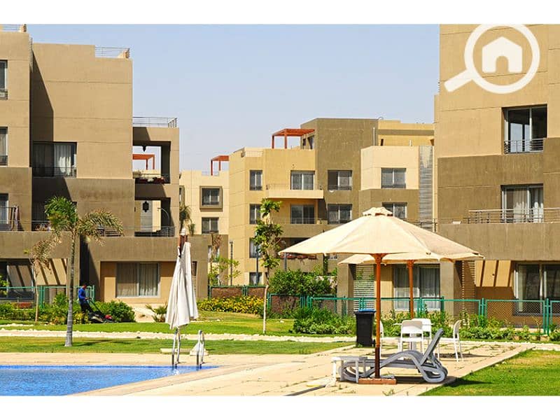 10 Palm Parks 4. jpg