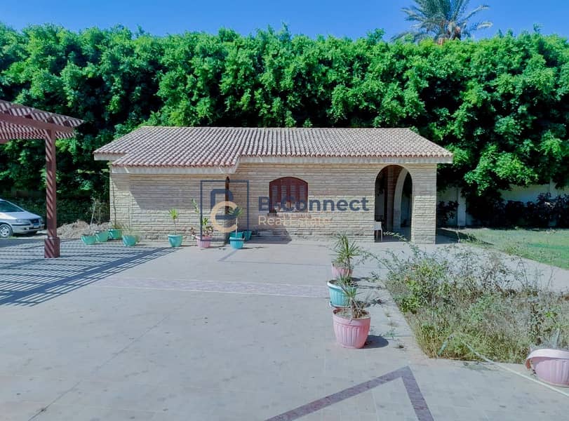 5 IMG-20251027-WA0073. jpg