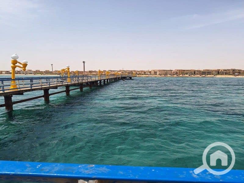 4 WhatsApp Image 2025-03-08 at 12.51. 59 PM. jpeg