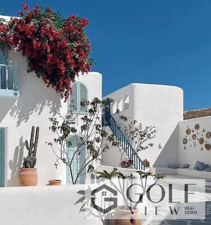 7 492942181_1188178073319091_6443903851985042940_n. jpg