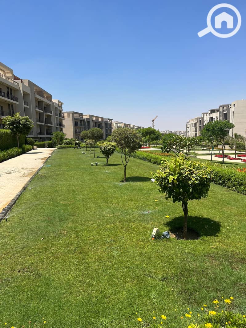 11 297021ea-7242-498e-bf7f-202463464181. jpg