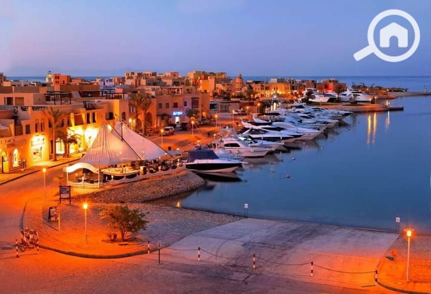 3 5199720-80fdao. jpg