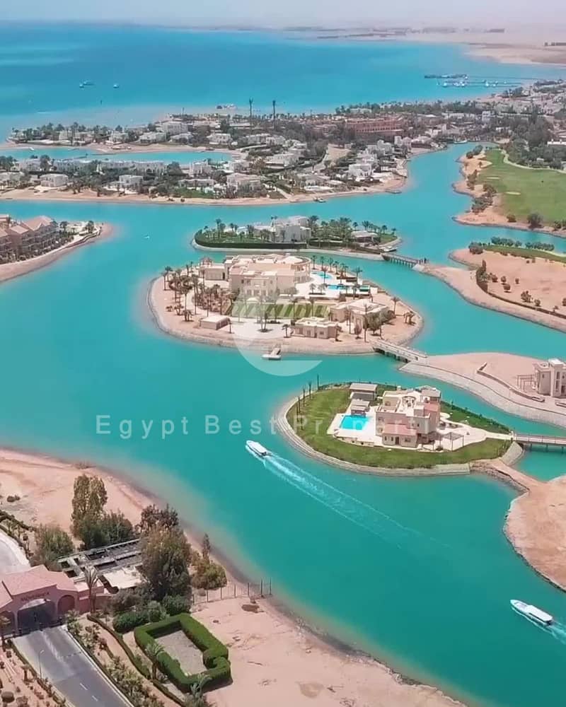 7 4da8499bc64e65e686b3d1d75021cfd6. jpg