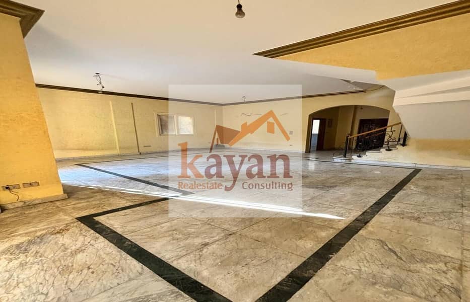 7 b9b8bf07-5f85-4d50-82db-5f14b446b10b. jpg