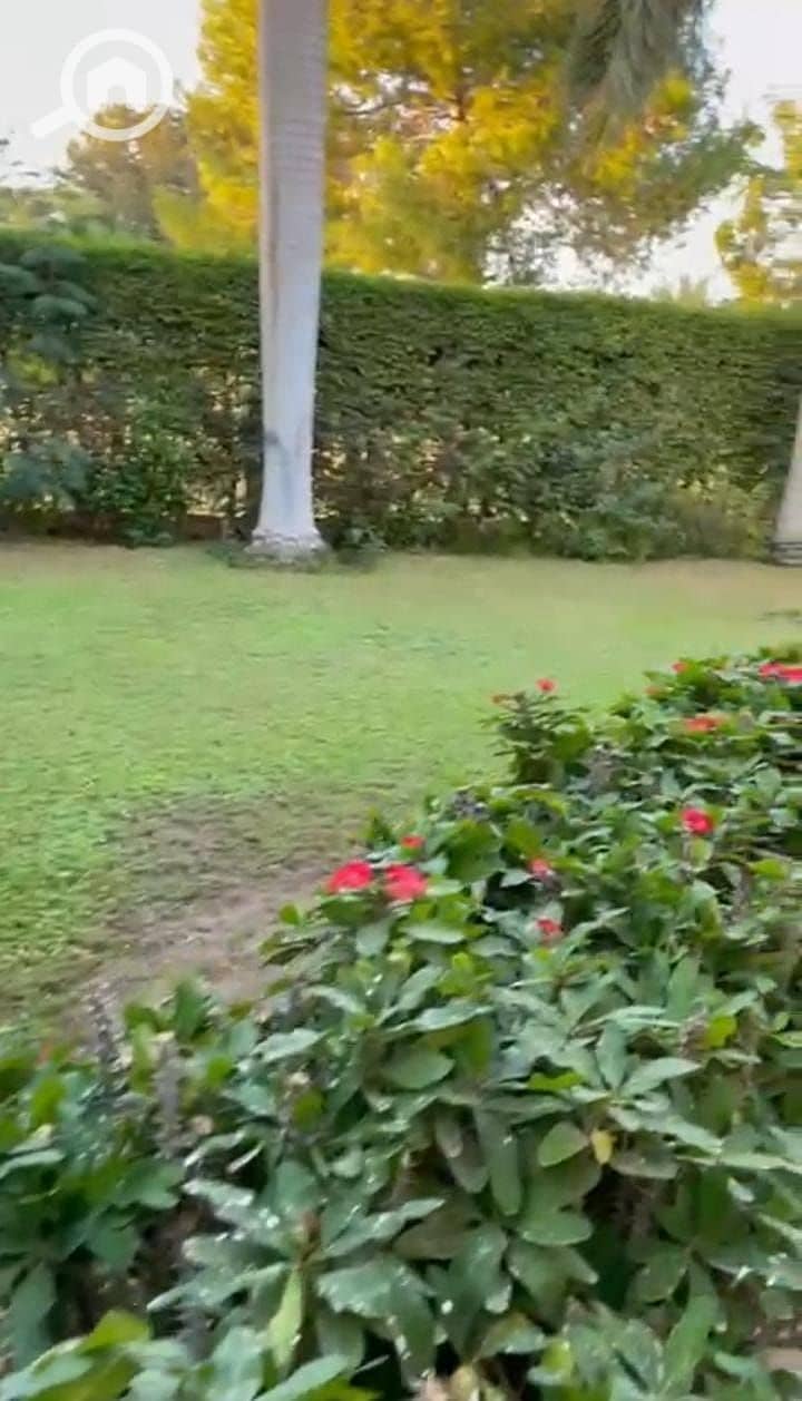 4 WhatsApp Image 2025-10-29 at 1.20. 30 PM (3). jpeg