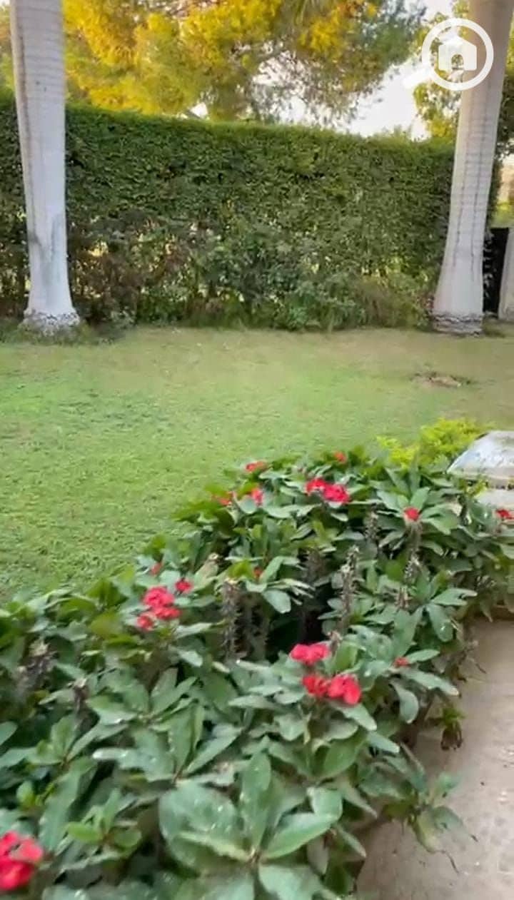 8 WhatsApp Image 2025-10-29 at 1.20. 29 PM (1). jpeg