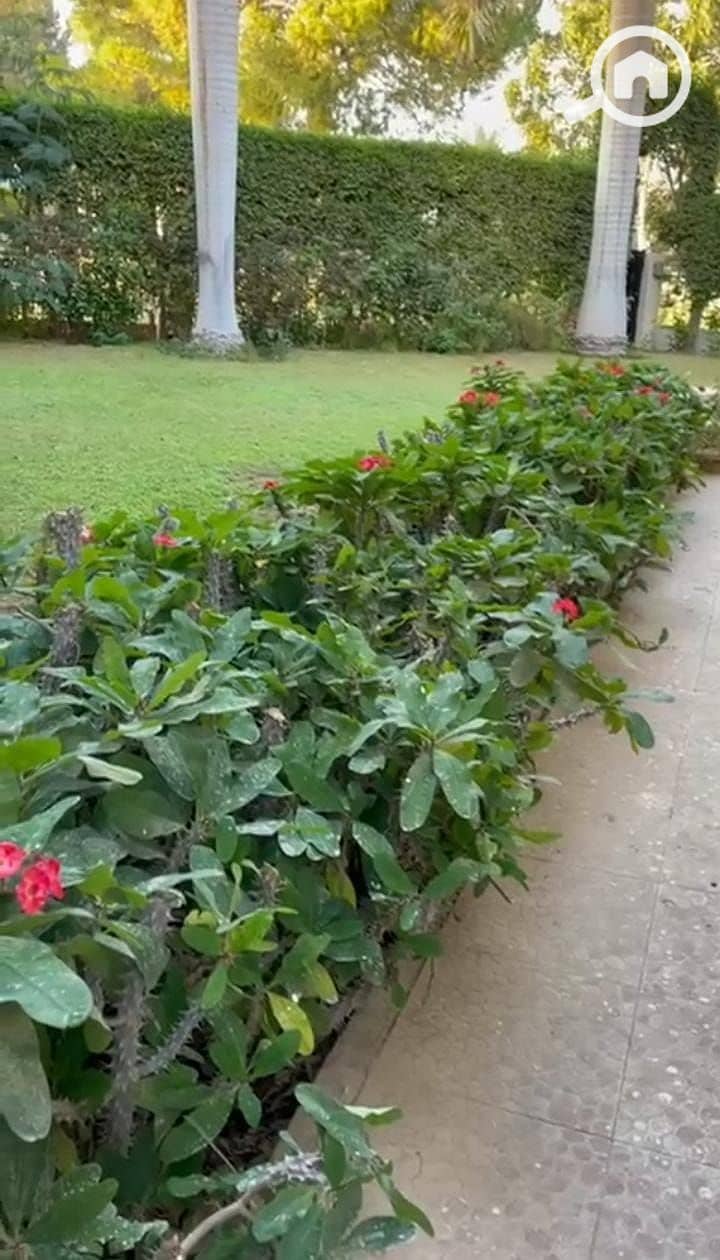 10 WhatsApp Image 2025-10-29 at 1.20. 30 PM (1). jpeg