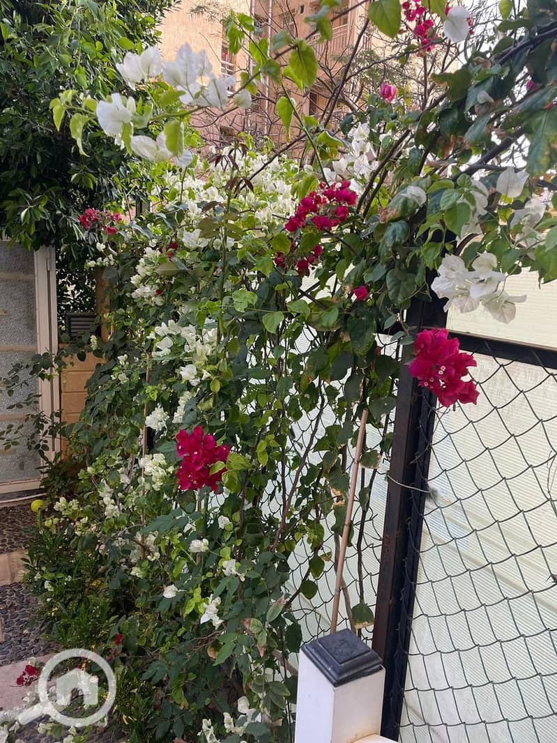 2 صورة واتساب بتاريخ 1447-05-07 في 12.42. 49_94342b4d. jpg